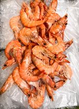 Large Shrimp