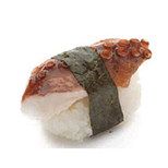 Octopus Tako