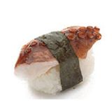 Octopus Tako