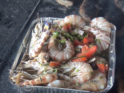 Suez Qazaz Shrimp