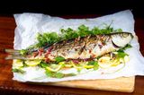 Grey Mullet Fish