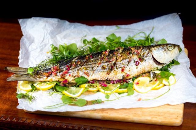 Grey Mullet Fish