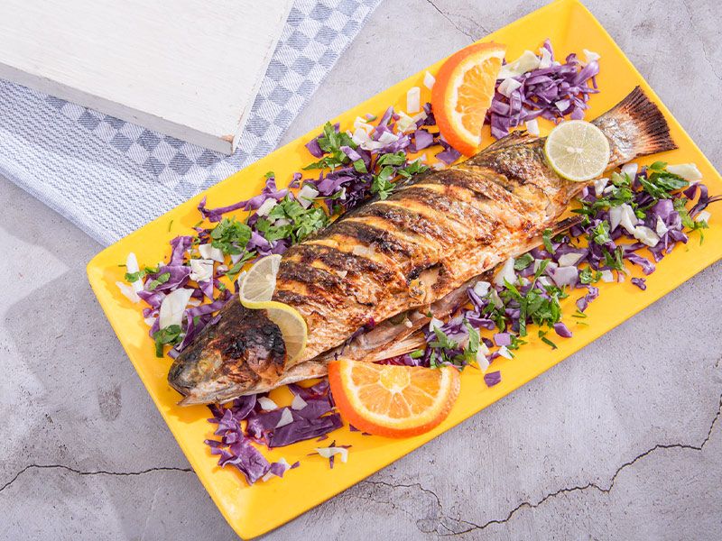 Grey Mullet Fish