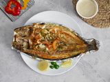 Grey Mullet Fish Meal