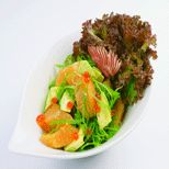 Saki Salad