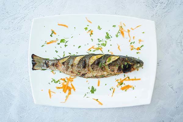 Macaroni Fish