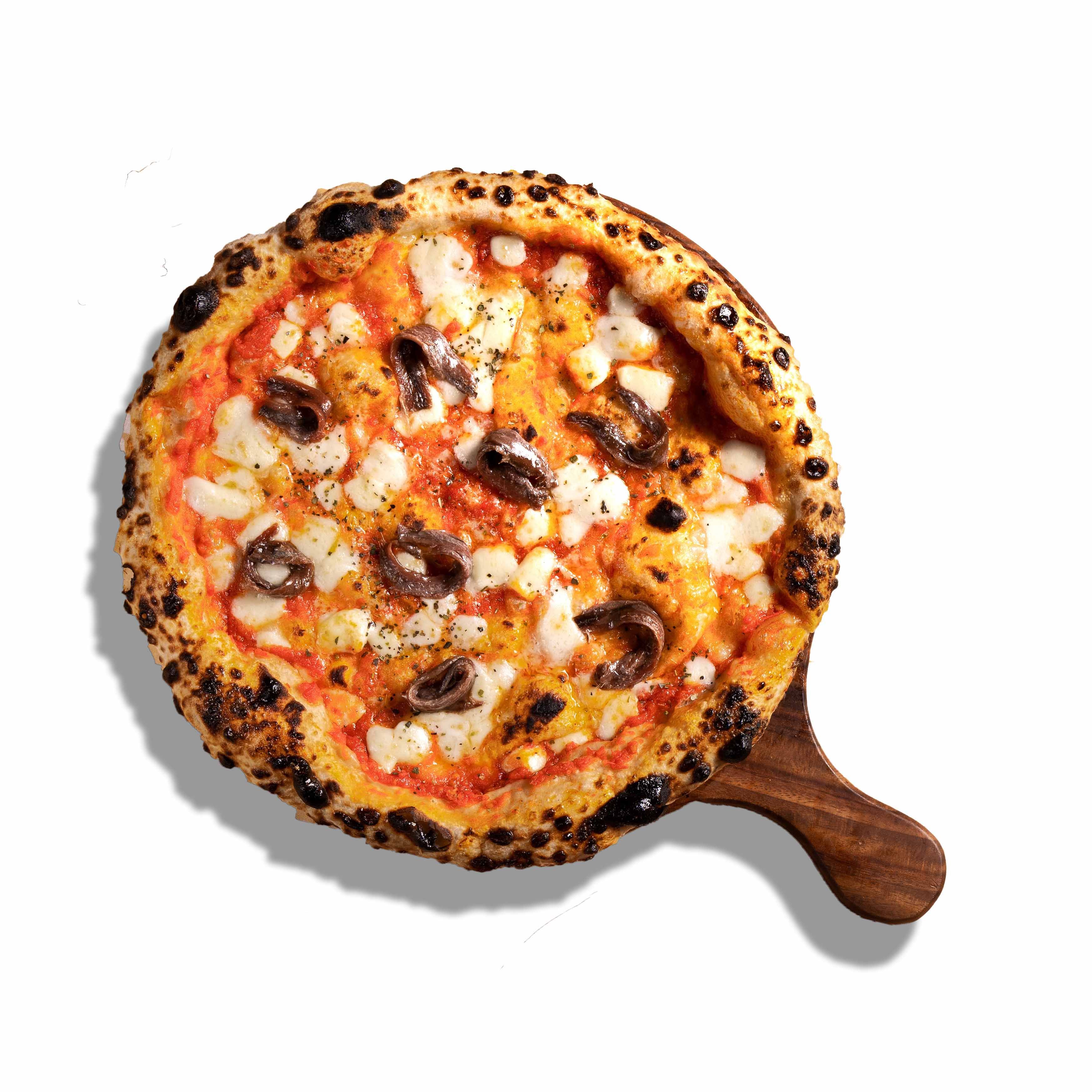 Anchovy Pizza