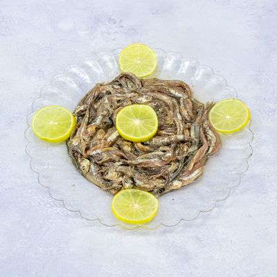 عالم الفساخني photo 12