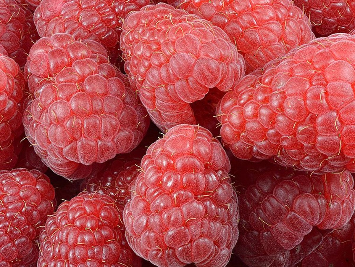 Add Raspberry Flavour