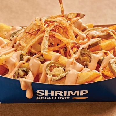 Anatomy Fries