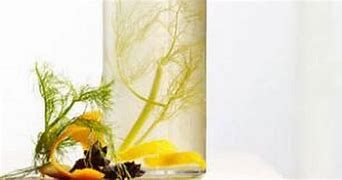 Anise