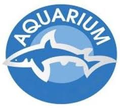 Dodo Meal