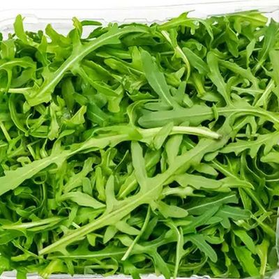 Rocket Salad