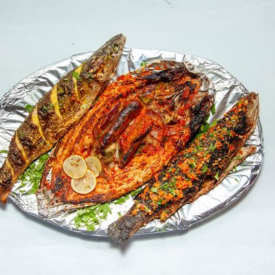 Fish fish photo 4