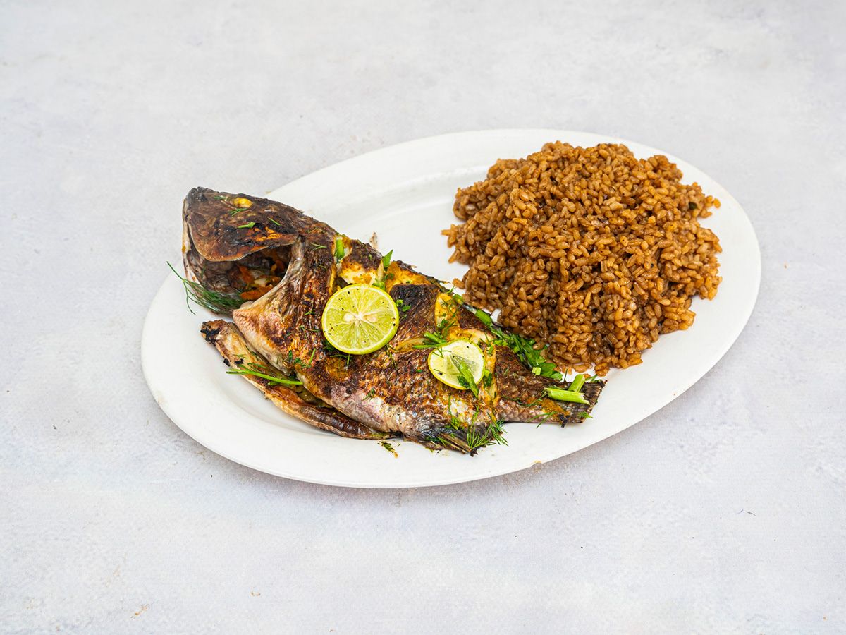 Tilapia Fish Meal