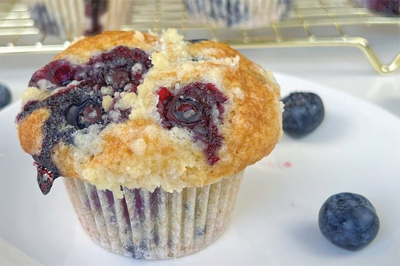 Blueberry Muffin