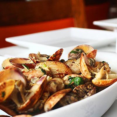 Baladi Clams