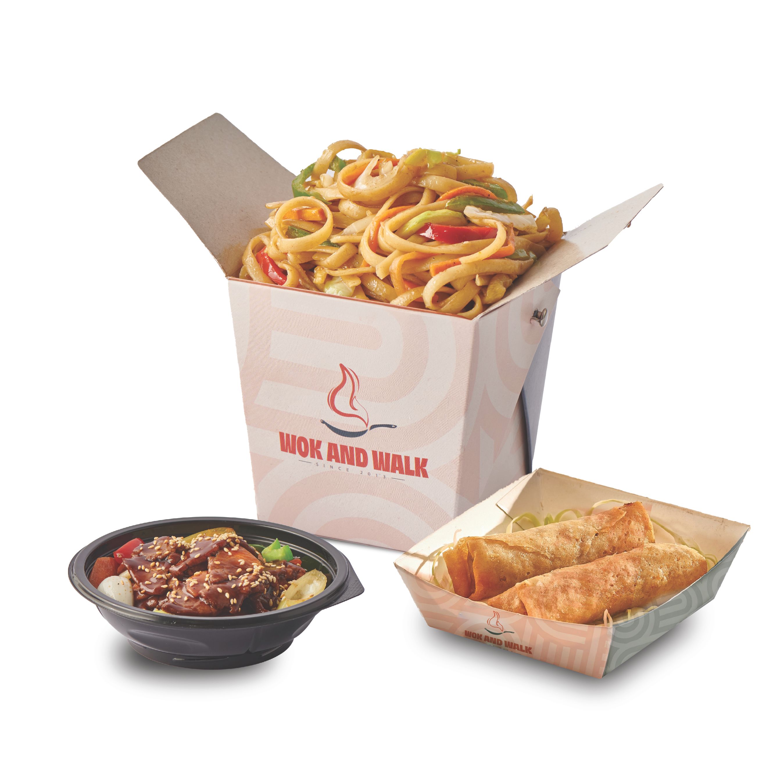 Beef Teriyaki Combo