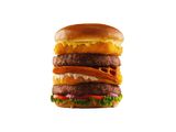 Big Bites Burger Sandwich