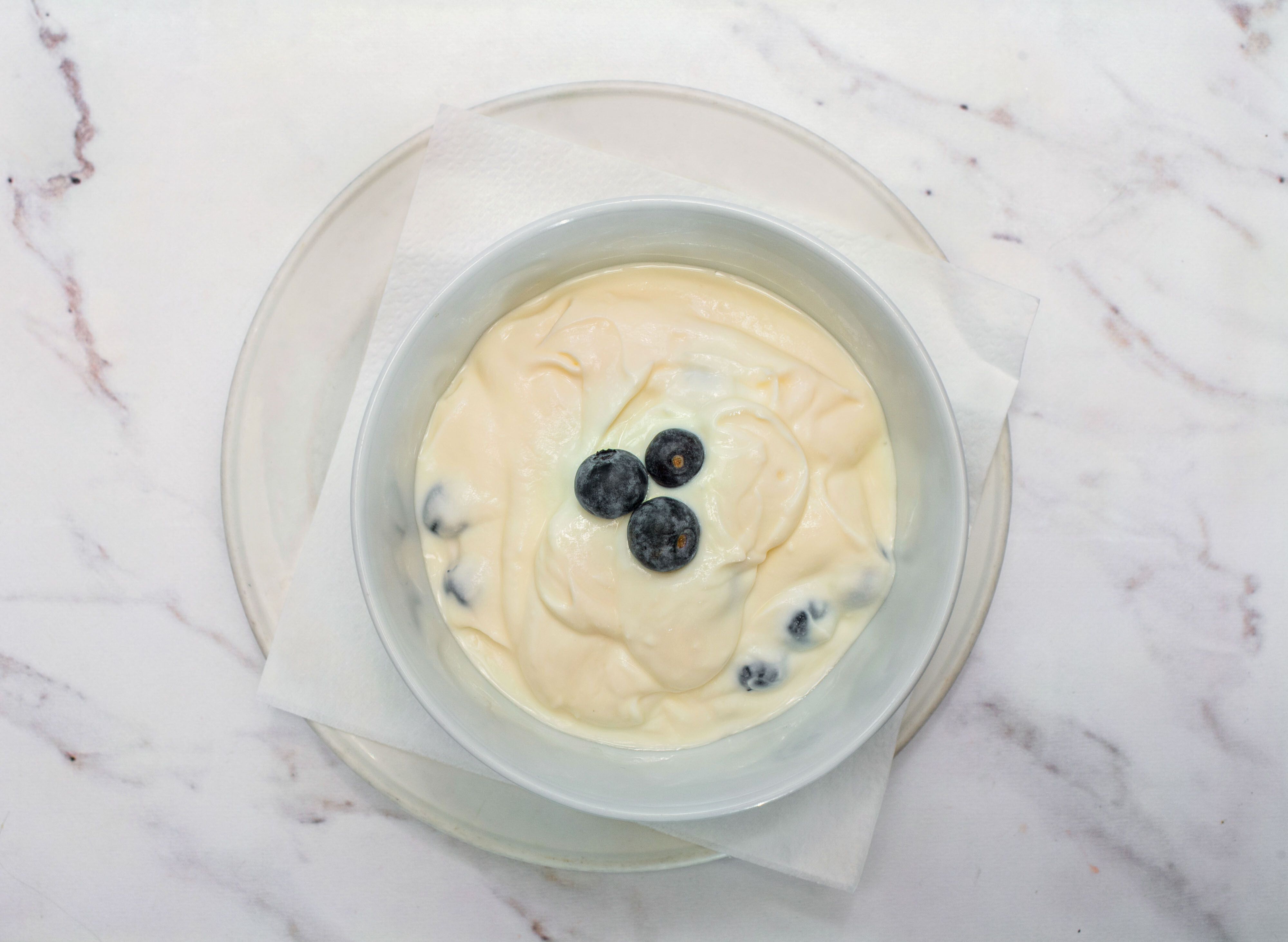 Blueberry Yogurt