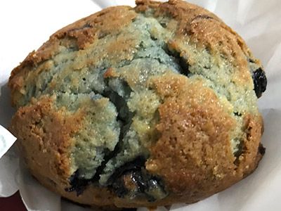 Blueberry Muffin