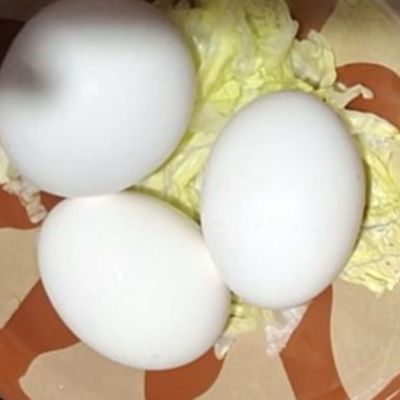 بيض مسلوق 3 بيضات