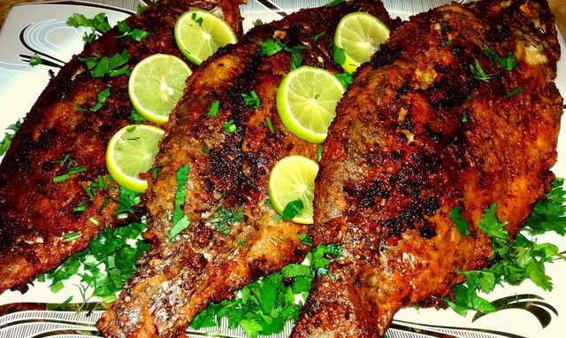 Tilapia Fish