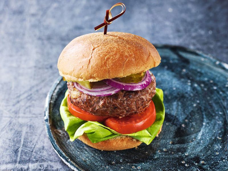 Plain Burger Sandwich