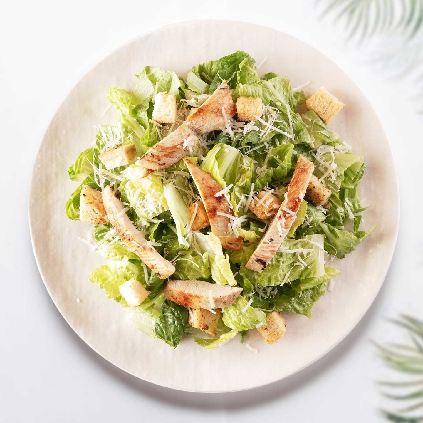Shrimp caesar salad