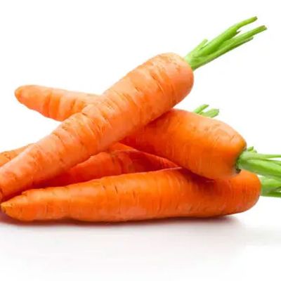 Carrot