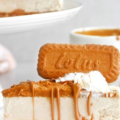 Cheese Cake Lotus