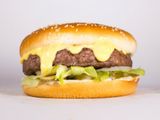 Melt Cheese Burger Sandwich
