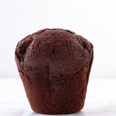 Chocolate Muffin