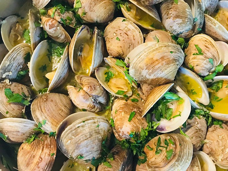 Clams
