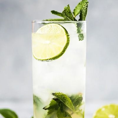 Classic Mojito Large