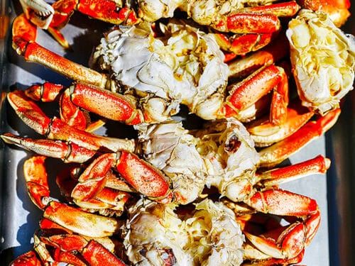 1Kilo Kaborya khaltet elsenara