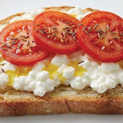 Old Cheese Sandwich