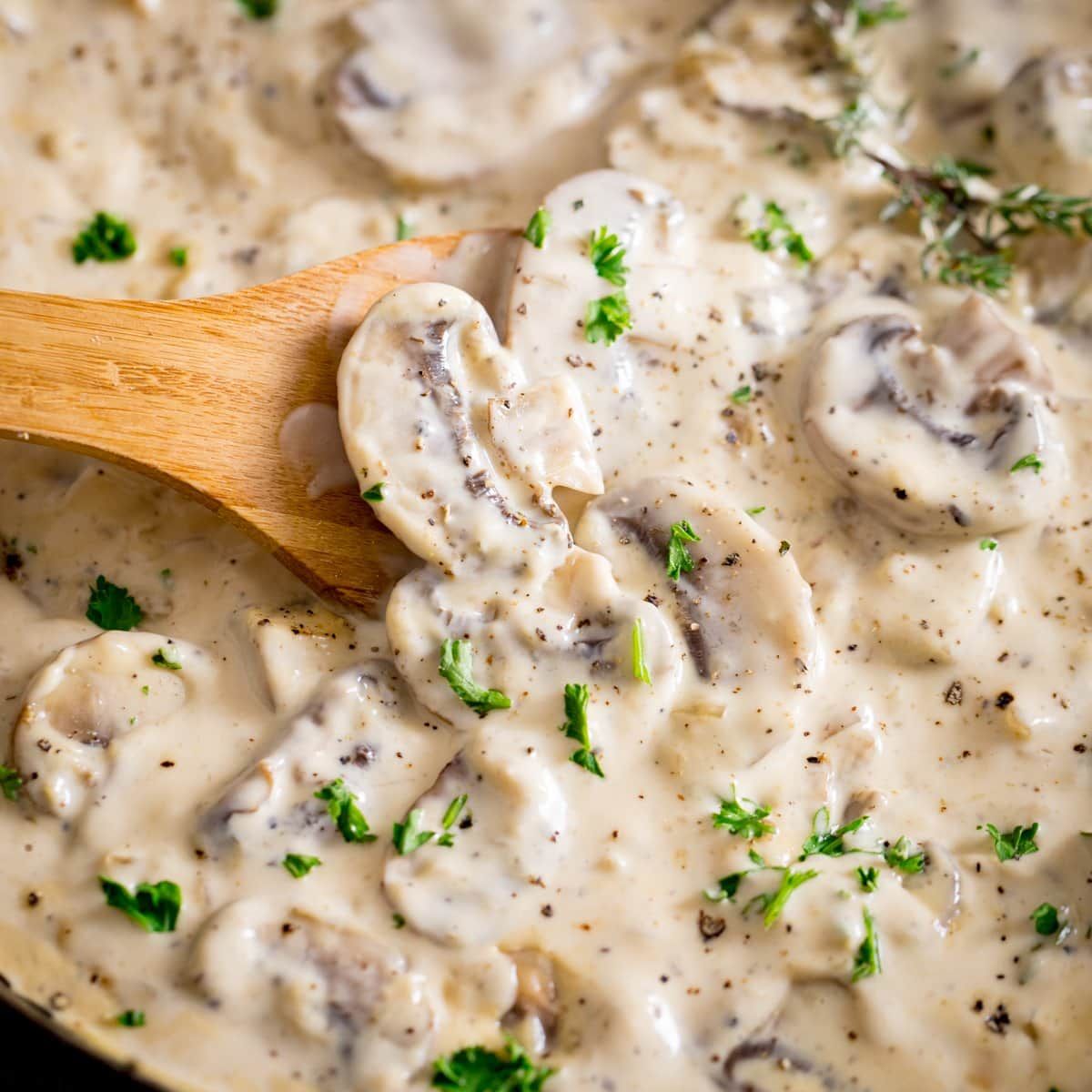 White Mushroom Sauce