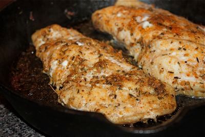 Grouper Fish