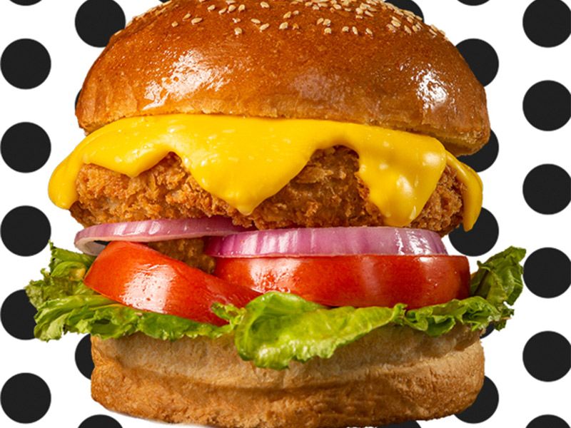 Crispy Chicken Burger Sandwich