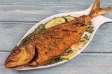 Croaker Fish