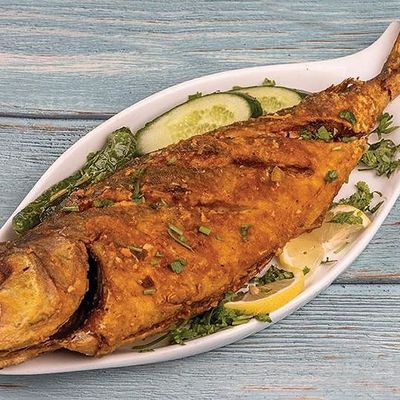 Croaker Fish