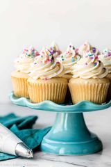 Vanilla Cupcake