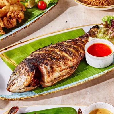 Denis Fish (Sea Bream)