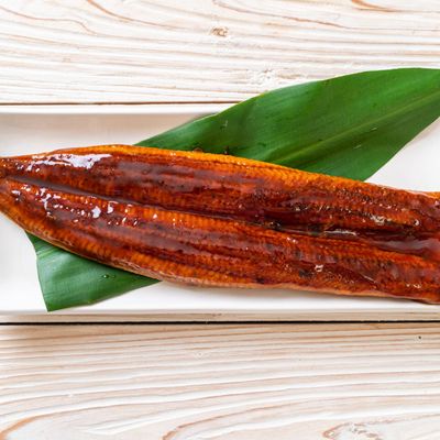 Eel