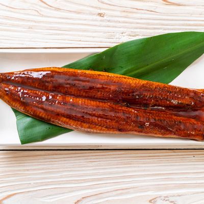 Eel Fish