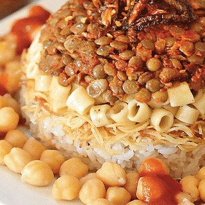 صندوق البلاد