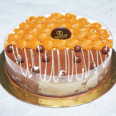 Half Chocolate And Half Vanilla Ice Cream Torte