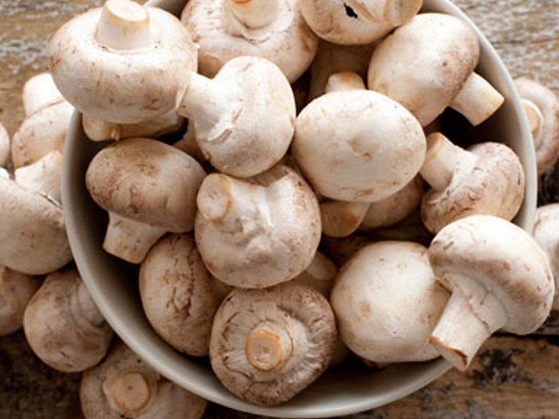 Extra Mushroom