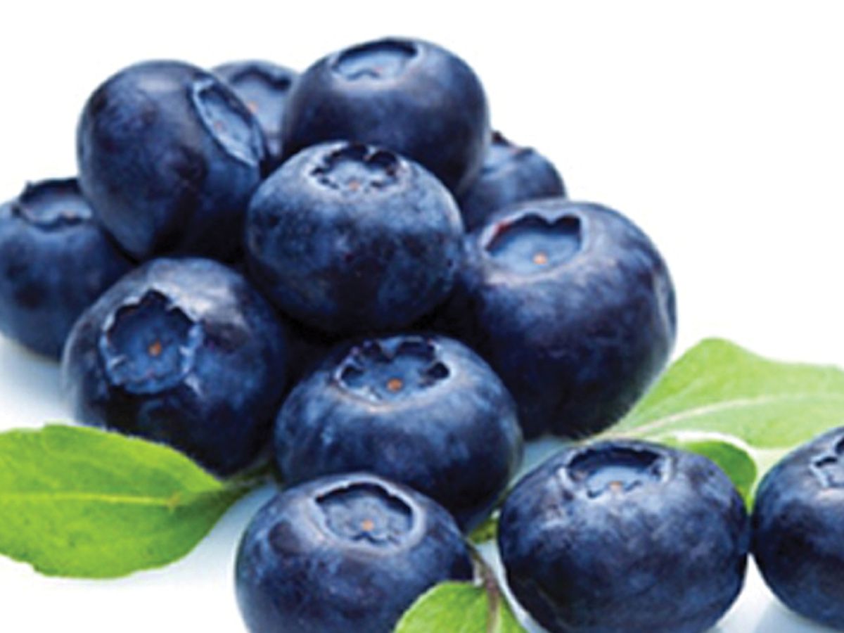 Extra Flavor Blueberry